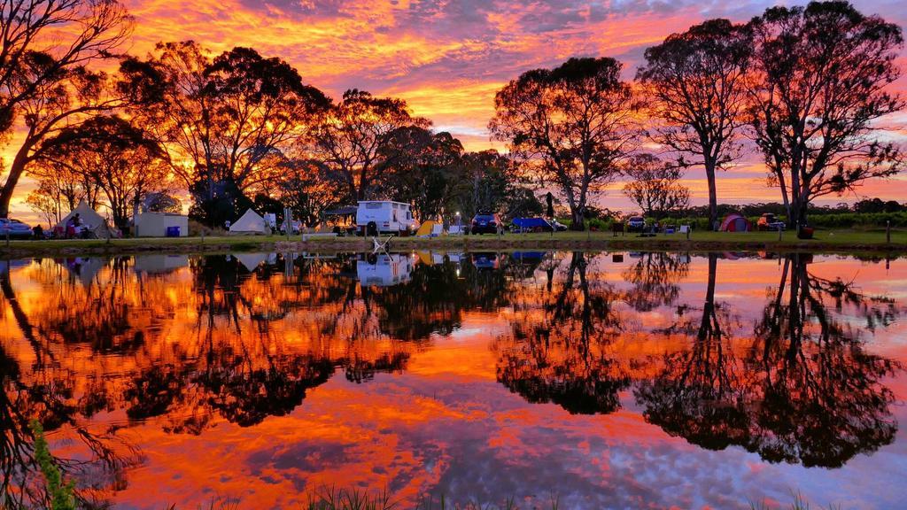 Coonawarra Bush Holiday Park Экстерьер фото